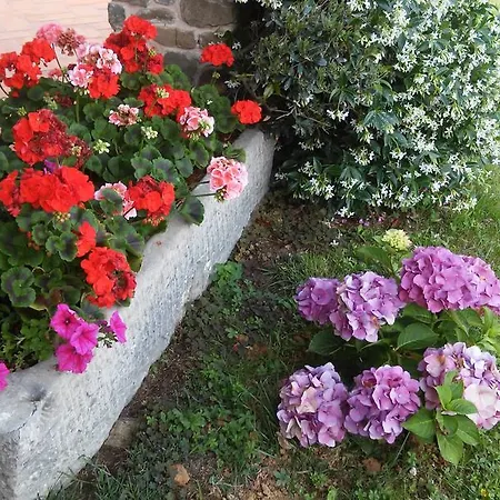 Podere Gianpaolo *