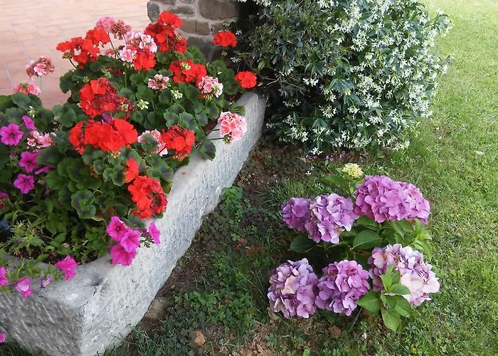 Podere Gianpaolo *